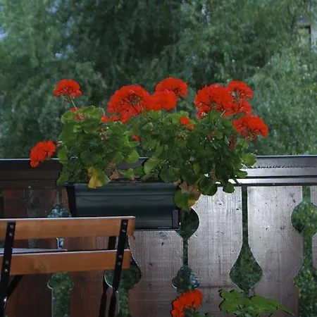 Apartment Courmayeur Chamonix